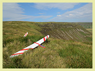 Willow Range