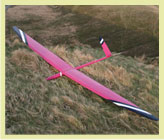 Willow f3f